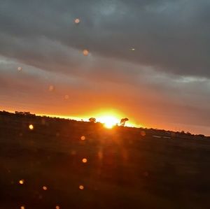 Meet your Posher, Molly